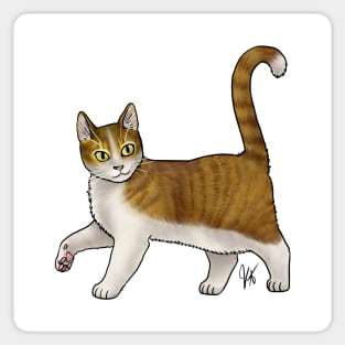 Cat - Cyprus Cat - White and Tabby Sticker